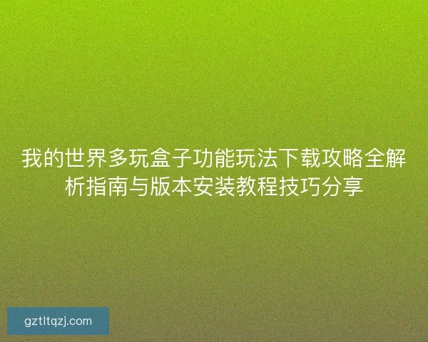 我的世界多玩盒子功能玩法下载攻略全解析指南与版本安装教程技巧分享