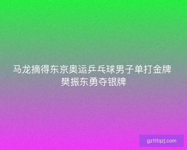 马龙摘得东京奥运乒乓球男子单打金牌 樊振东勇夺银牌 马龙摘得东京奥运乒乓球男子单打金牌 樊振东勇夺银牌